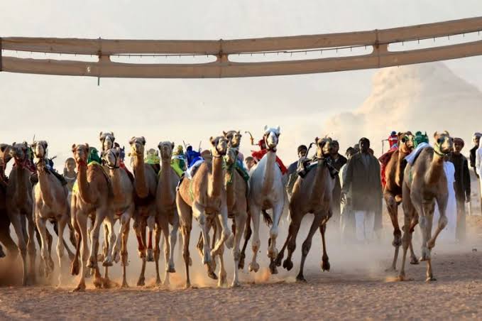 NOC Indonesia Resmikan Enam Cabor Baru, Dari Tinju hingga Balap Unta